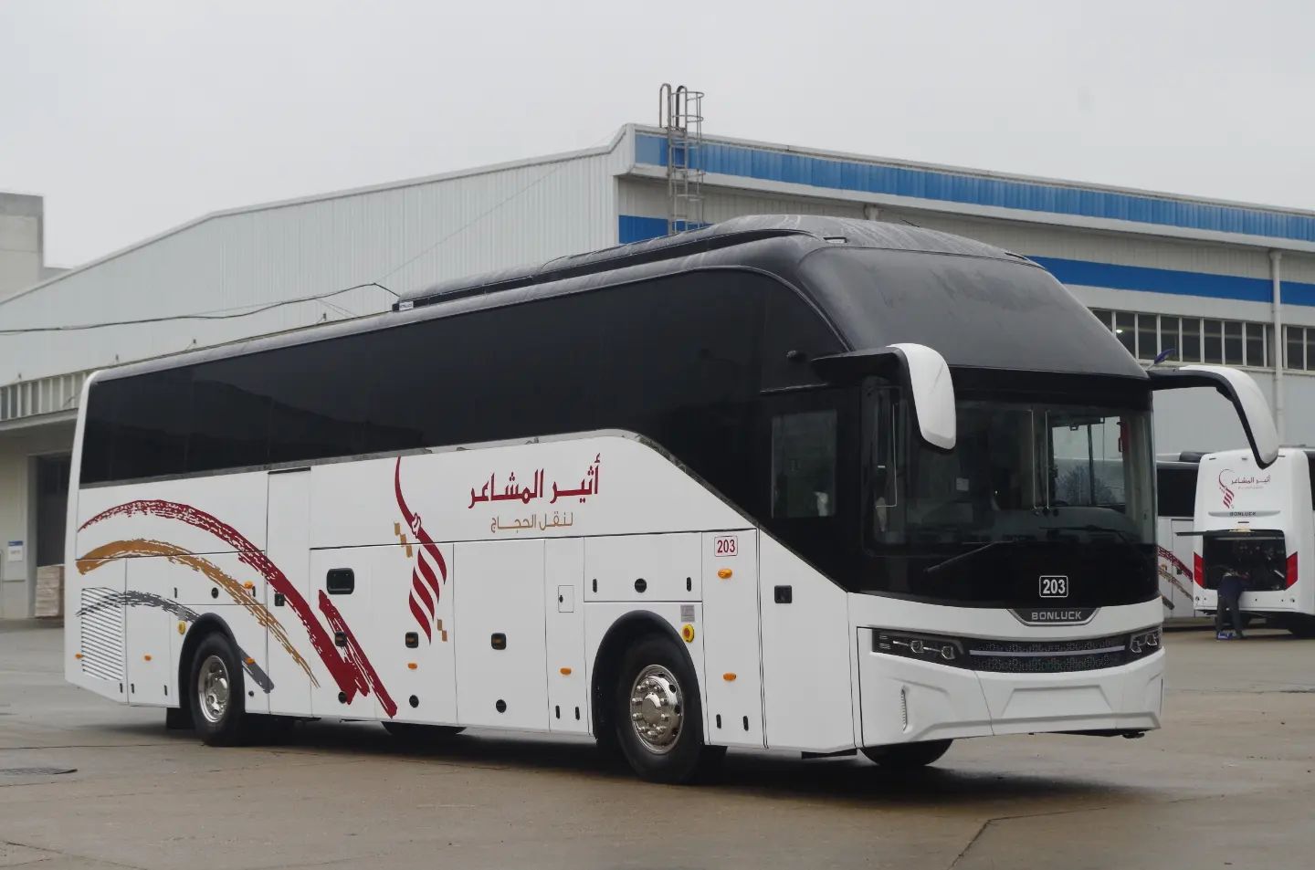 باص اقتصادي